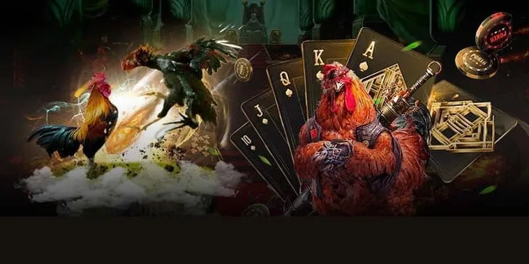 Tham Gia Đá Gà 3D Hi88 Ngay Hôm Nay Để Thắng Lớn