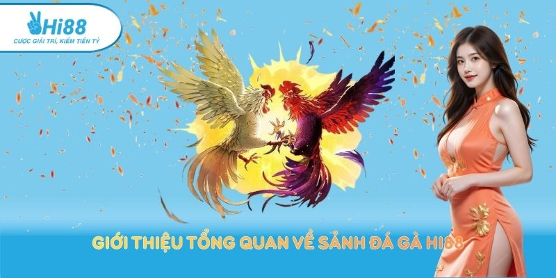 Giới thiệu tổng quan về sảnh đá gà Hi88