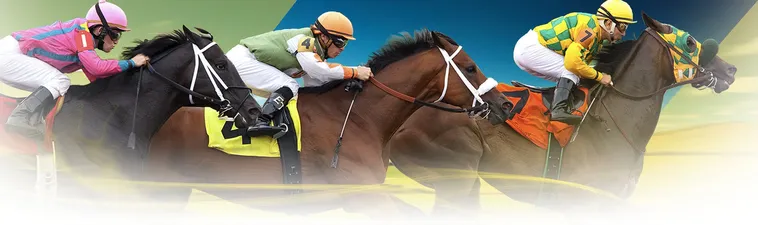 Tham Gia Cá Cược Đua Ngựa Hi88 Để Chinh Phục Mọi Thử Thách